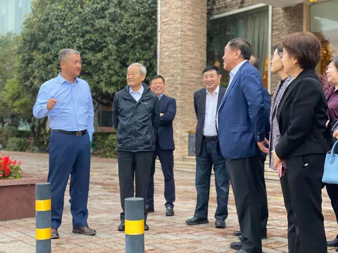 江苏自然画卷,心灵之旅的绿色篇章