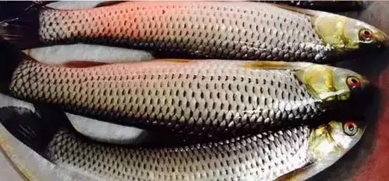 海南欢乐阳光之旅