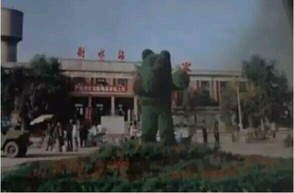 衡水之光，未来科技重塑生活，体验科技魅力